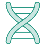Graphic icon of DNA